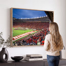 Wisconsin Badgers Football Team Print - Madison Camp Randall