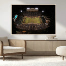 Wake Forest University Demon Deacons Canvas Printi, Football