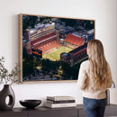 University of Illinois Fighting Illini Football Team Print -