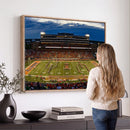 University of Illinois Fighting Illini Football Team Print -