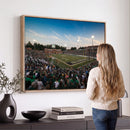 University of Charlotte 49ers Football Team Print -