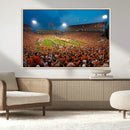 Clemson University Tigers Football Team Print - Clemson