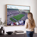 The Texas Christian University TCU Horned Frogs Football