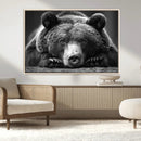 Resting Grizzly 399 Bear Canvas Print | Ready to Hang Wall