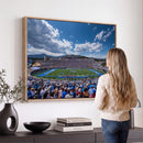 Air Force Falcons Football Team Print - Colorado Springs