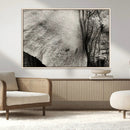 Elephant Wall Art Canvas Print