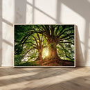 Majestic Ancient Tree Wall Art, NatureCanvas Print, Woodland by MyGreatCanvas | Canvas Wall Art Prints | Photo Prints & Wall Decor