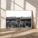 Black and White Highland Cow Canvas Wall Art, Longhorn by MyGreatCanvas | Canvas Wall Art Prints | Photo Prints & Wall Decor