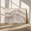 Tree Ring Wall Art Triptych, Rustic Wood Ring Canvas Print,
