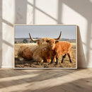 Highland Cow Canvas Wall Art Animal Print for Farm House