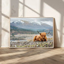Highland Cow Horn Farm Wall Art Canvas Print