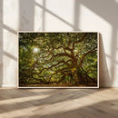 Ancient Angel Oak Tree Art Sunburst Canvas Print-