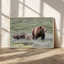 Wildlife Photography of 399 Grizzly Bear Cubs | Queen of the by MyGreatCanvas | Canvas Wall Art Prints | Photo Prints & Wall Decor