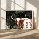 Texas Longhorn Wall Art Canvas Print – Framed Spotted Bull