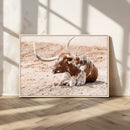 Texas Longhorn Wall Art Canvas Print – Framed Resting Bull by MyGreatCanvas | Canvas Wall Art Prints | Photo Prints & Wall Decor