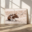 Texas Longhorn Wall Art Canvas Print – Framed Resting Bull by MyGreatCanvas | Canvas Wall Art Prints | Photo Prints & Wall Decor
