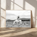 White Horse Wall Art Canvas Print – Framed Woman Rider