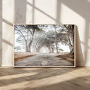 Cypress Tunnel Wall Art – Framed Misty Road Canvas Artwork, by MyGreatCanvas | Canvas Wall Art Prints | Photo Prints & Wall Decor