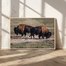 Bison Wall Art Canvas Print – Framed Western Wildlife Modern by MyGreatCanvas | Canvas Wall Art Prints | Photo Prints & Wall Decor
