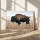 American Bison Wall Art Canvas Print – Majestic Buffalo