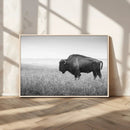 Black White Bison Canvas Wall Art, Rustic American Buffalo by MyGreatCanvas | Canvas Wall Art Prints | Photo Prints & Wall Decor