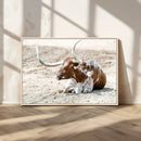 Majestic Longhorn Wall Art Canvas Print – Resting on Sunlit by MyGreatCanvas | Canvas Wall Art Prints | Photo Prints & Wall Decor