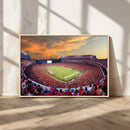 Dooley Stadium Wall Art, Sports Arena Canvas Print, Dooley by MyGreatCanvas | Canvas Wall Art Prints | Photo Prints & Wall Decor
