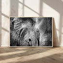 Wild Old Elephant Wall Art Canvas Print
