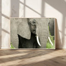 Wild Elephant Wall Art Canvas Print by MyGreatCanvas | Canvas Wall Art Prints | Photo Prints & Wall Decor