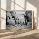Wild Elephant Wall Art Canvas Print by MyGreatCanvas | Canvas Wall Art Prints | Photo Prints & Wall Decor