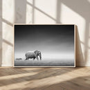 Elephand and Zebra Wall Art Canvas Print, Modern Artwork