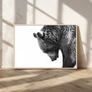 Black and White Grizzly 399 Bear Canvas Print Wall Art | by MyGreatCanvas | Canvas Wall Art Prints | Photo Prints & Wall Decor