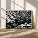 Mighty Angel Oak Wall Art | Angel Oak Tree Art Print by MyGreatCanvas | Canvas Wall Art Prints | Photo Prints & Wall Decor