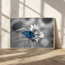 Blue Butterfly Black and White Canvas Wall Art by MyGreatCanvas | Canvas Wall Art Prints | Photo Prints & Wall Decor