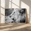 African Lion Wall Art Canvas Print – Majestic Wildlife