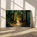 Sunlit Forest Pathway Canvas Print | 3 Panel Large Nature by MyGreatCanvas | Canvas Wall Art Prints | Photo Prints & Wall Decor