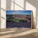 South Carolina Gamecocks Football Team Print - Columbia