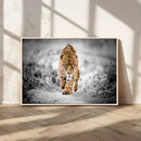 Jaguar Wall Art Canvas Print - Majestic Big Cat in Focused by MyGreatCanvas | Canvas Wall Art Prints | Photo Prints & Wall Decor