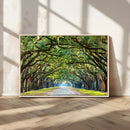 Wormsloe State Plantation Driveway Wall Art Canvas Print by MyGreatCanvas | Canvas Wall Art Prints | Photo Prints & Wall Decor