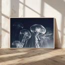Jellyfish Wall Art Canvas Print, Modern Abstract Jellyfish