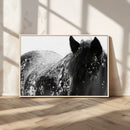 Black Horse in Snow Canvas Print | Winter Horse Wall Art |