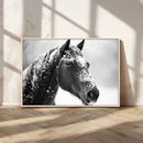 Horse Canvas Print - Winter Horse Snow Wall Art Canvas Print