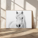 Majestic White Horse Wall Art | Ready to Hang and Framed |
