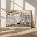 Forest Grove Wall Art | Serene Pathway Canvas Print | Ready