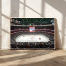 Honda Center California Anaheim Ducks Ice Hockey Stadium