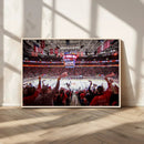 Carolina Hurricanes Ice Hockey Stadium Wall Art, Carolina