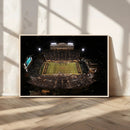 Wake Forest University Demon Deacons Canvas Printi, Football