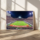 Wolfpack Football Team Print - Raleigh Carter-Finley Stadium