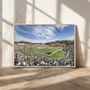 University of Charlotte 49ers Football Team Print - by MyGreatCanvas | Canvas Wall Art Prints | Photo Prints & Wall Decor