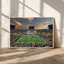 University of Michigan Wolverines Print Canvas, Football